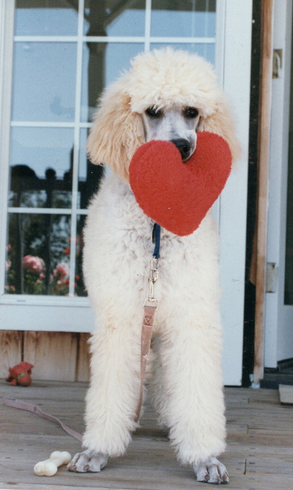 Nellie 1993